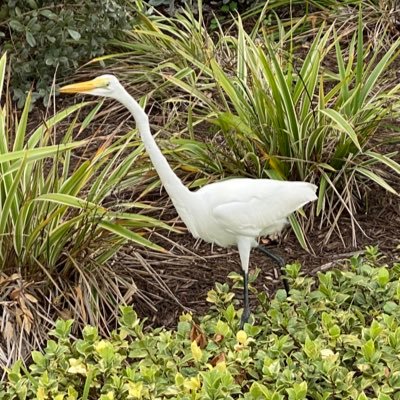 delightfulfires's profile picture. 