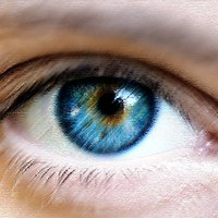 Vision+Cognition Lab (@viscog) 's Twitter Profile