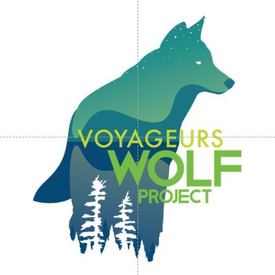 The official Twitter account of the Voyageurs Wolf Project, which studies wolves in the Greater Voyageurs Ecosystem, MN.