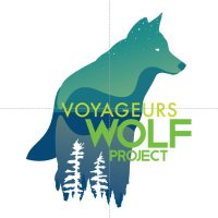 Voyageurs Wolf Project(@VoyaWolfProject) 's Twitter Profile Photo