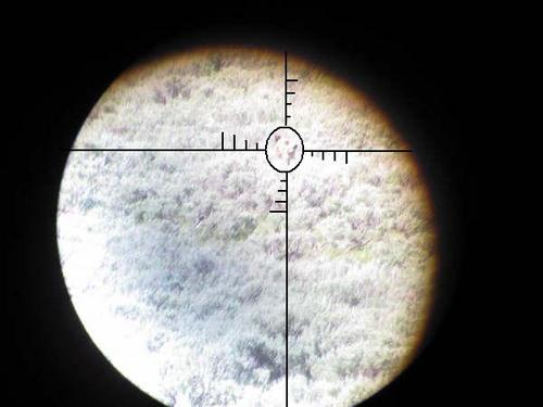 SeeRay's profile picture. 