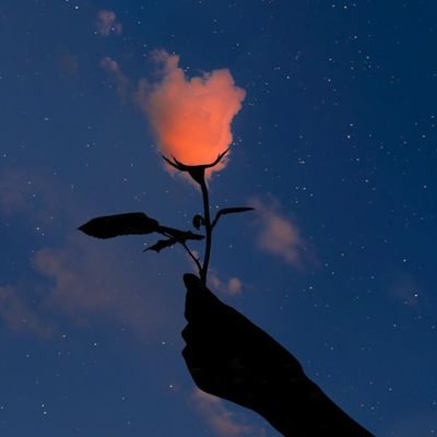 justrandom4cc's profile picture. 