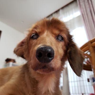 gon_jura_lyon's profile picture. 30代、循環器内科医、独身。
2018年からDC/つみたてNISAで投信積立、2020年から米国個別株投資中。