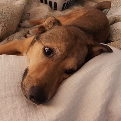 jewelsw16's profile picture. Mom, social worker, Baylor alum, Texan 🌊