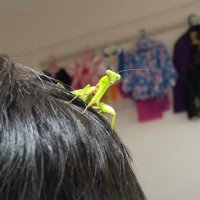 ☆🦀りさ🐙☆ (@mushi_vu_uv_) 's Twitter Profile Photo ☆🦀りさ🐙☆ (@mushi_vu_uv_) 's Twitter Profile Photo