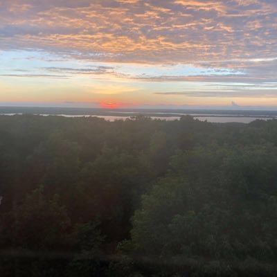 atrueAmerican19's profile picture. 