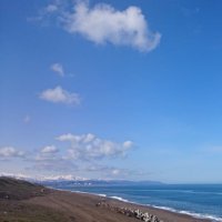 aozora (@aozoragasukii) 's Twitter Profile
