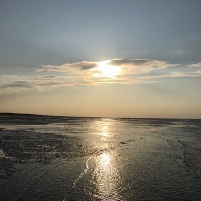 Living the dream in Norfolk. Mum to Met Police Officer Son & Uni Lecturer Daughter. Married to Andrew. Look after dogs Luna, Willow & Bailey & Stanley the cat