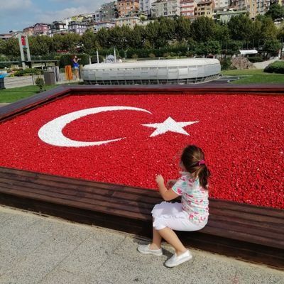 gesta67's profile picture. 