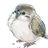 sleeping sparrowのアイコン