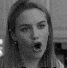 ginkobilove's profile picture. ☘️