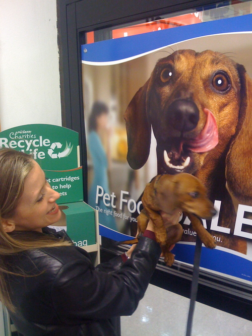 TracyLaw's profile picture. Wife of @pastordude, Mom of @faithyfoofoo and @Lexi_bug_, attorney and health nut.