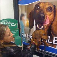Tracy Neisent (@tracylaw) 's Twitter Profile