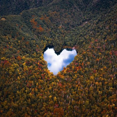 savagemode214's profile picture. looking