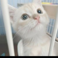 もあい (@fuma_happyend) 's Twitter Profile Photo もあい (@fuma_happyend) 's Twitter Profile Photo
