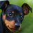 brainteaser_1's profile image