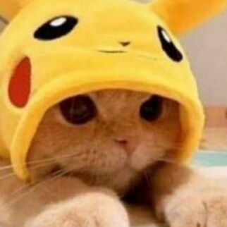 Agus_94Sando's profile picture. Géminis ♊.
Intentando sobrevivir lo mejor posible 😒.
League of Legends🌟.