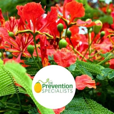 PreventionVI Profile Picture