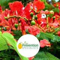 The Prevention Specialists Virgin Islands(@PreventionVI) 's Twitter Profileg