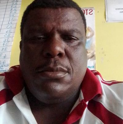 I am a theatre practitioner,theatre arts curriculum specialist for secondary and tertiary education ,theatre projects manager and theatre arts text book writer.