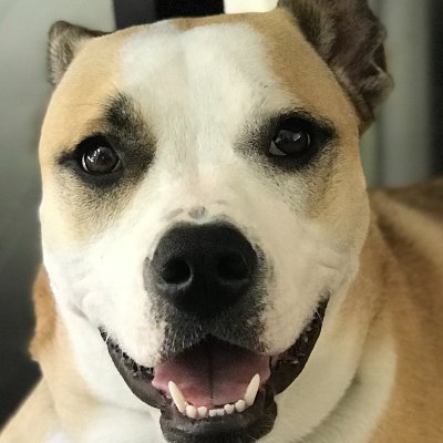 TurfMutt Profile Picture