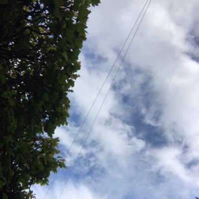 unisions's profile picture. 25 😐