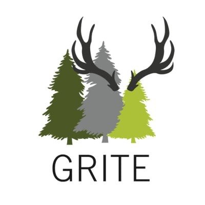 Groupe de recherche interdisciplinaire sur les territoires de l'éxtractivisme (GRITE) 
Interdisciplinary Research Group on Territories of Extraction (IRGTE)