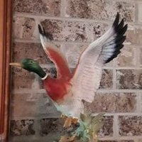 4D_Sidekick (@4d_sidekick) 's Twitter Profile