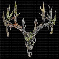 stephen&anna (@stephenanna16) 's Twitter Profile Photo