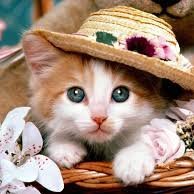 happy always easy going person, i like to have fun as much as possible that i can
i have been opportune to travel a little more around the word