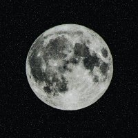 M9nine (@m9nine1) 's Twitter Profile Photo M9nine (@m9nine1) 's Twitter Profile Photo