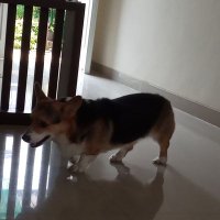 Bejotrs (@bejotrs) 's Twitter Profile