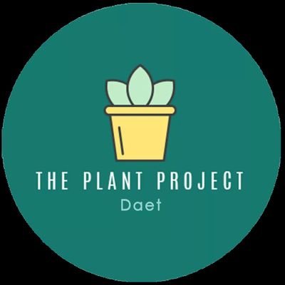 tppdaet's profile picture. Planting is fun 💚🌵