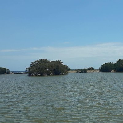 Siete kilómetros de humedales, aguas dulces y saladas, playas, mangles, lagunas y vegetación ribereña que conforman el estuario del río Nigua y zonas cercanas.