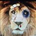 TCOOMBS 1221 (@coombstj1221) Twitter profile photo TCOOMBS 1221 (@coombstj1221) Twitter profile photo