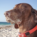 Colin Griffiths - @colin_griffiths - Twitter