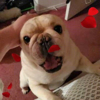 Danno1966's profile picture. Photography, Weather, Astronomy, Arcade Games, RV, Exploring, Aircraft, Computers, Movies, 60s Music, Fireworks and fun!