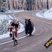 John Brunen (@johnbrunen) 's Twitter Profile Photo John Brunen (@johnbrunen) 's Twitter Profile Photo