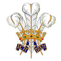 Prince of Wales FC (@fcprinceofwales) 's Twitter Profile