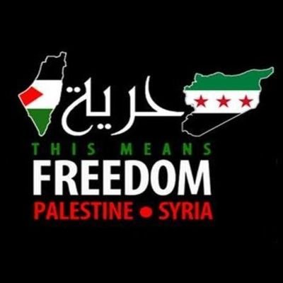 simply an Italian boy, of Moroccan origin, in support of free peoples #FreeSyria⭐⭐⭐ #Freepalestine🇵🇸 (passionate about international geopolitics) #DimaRaja💚