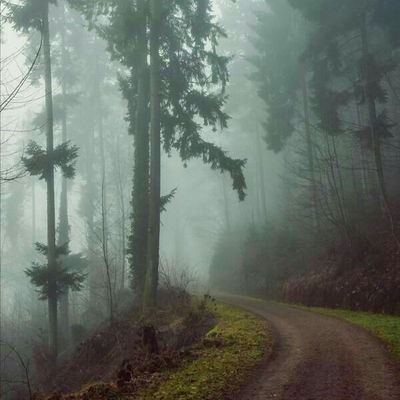 jefboy12's profile picture. Null