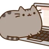 yeetcombinator's profile picture. @yeetgenstein alt