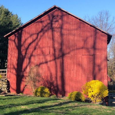 JsLittera's profile picture. 