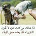 صنعانيه شهوانيه (@spcdlgigcmg6qnw) Twitter profile photo صنعانيه شهوانيه (@spcdlgigcmg6qnw) Twitter profile photo
