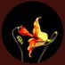Analfabeta funzionale (parody) (@2035parody) Twitter profile photo Analfabeta funzionale (parody) (@2035parody) Twitter profile photo