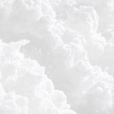 Berenic95615033's profile picture. 