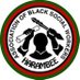 The National Association of Black Social Workers (@nabswofficial) Twitter profile photo The National Association of Black Social Workers (@nabswofficial) Twitter profile photo