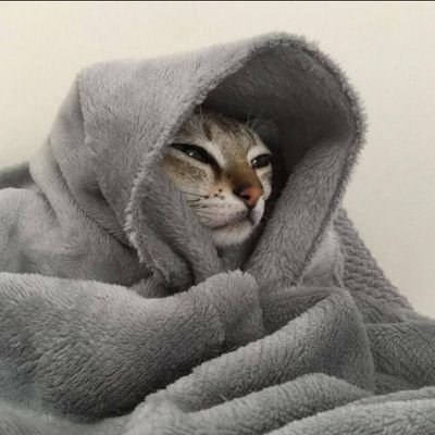 Im_NieR's profile picture. Discord: ImNieR#8181