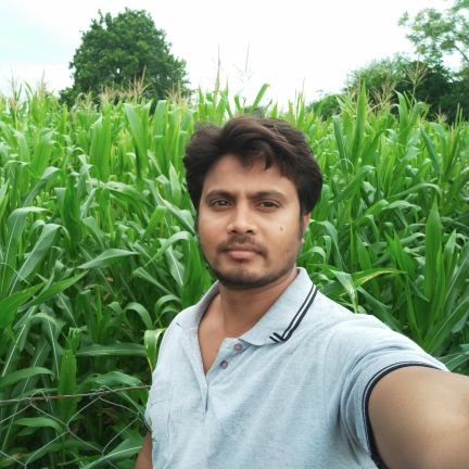 Shivend21792246's profile picture. special educater