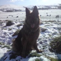 LYN STEWART (@lstewa38) 's Twitter Profile Photo